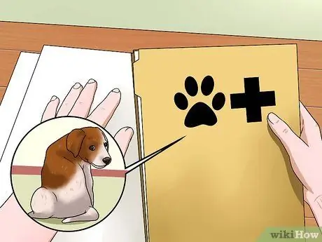 Выберите здорового щенка Шаг 7