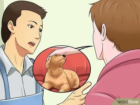 Выбери здорового щенка Шаг 8