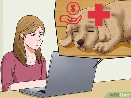 Выбери здорового щенка Шаг 9