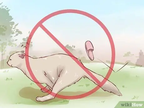 Сделайте так, чтобы кошка понравилась вам Шаг 10