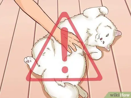 Сделайте так, чтобы кошка понравилась вам Шаг 8