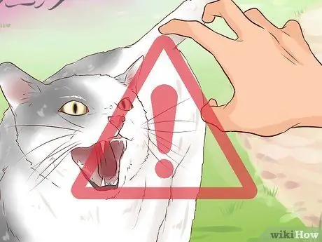 Сделайте кошку, которая понравится вам Шаг 9