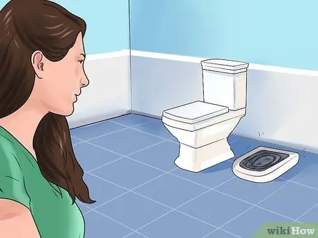 Приручить кошку туалету, шаг 2