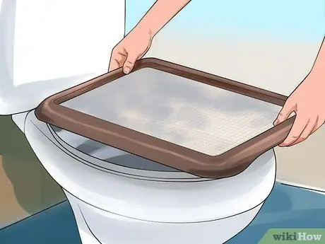 Приручить кошку туалету, шаг 3