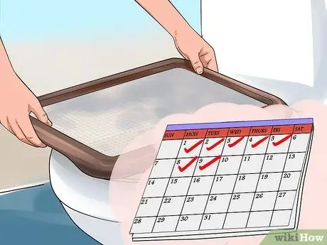 Приручить кошку туалету, шаг 4