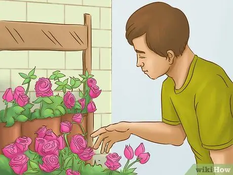 Произвести впечатление на девушку на первом свидании Шаг 3