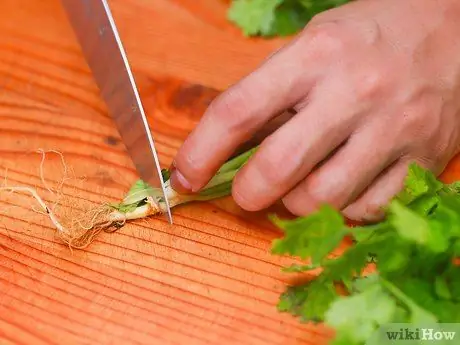 Хранение трав Шаг 2