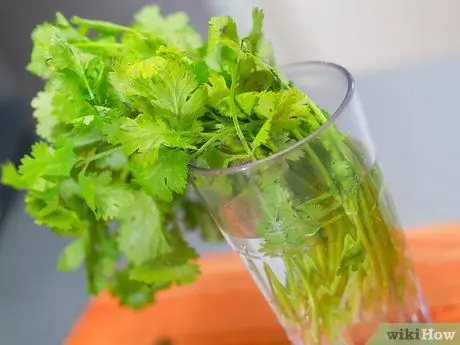 Хранить травы Шаг 3