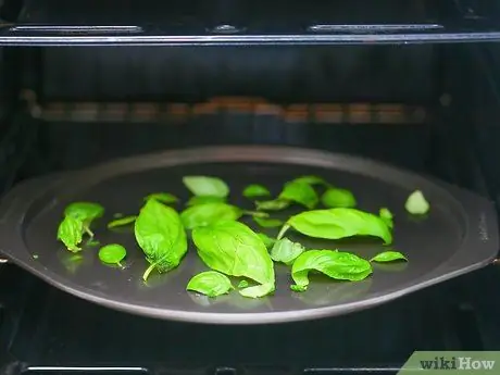 Сухой базилик Шаг 13