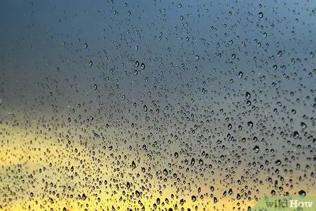 Сухой розмарин Шаг 4 Пуля 2