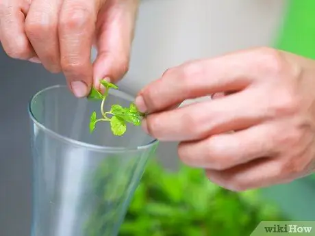 Сделайте мохито, шаг 2