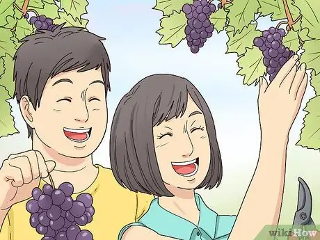 Напишите свои свадебные клятвы, шаг 6