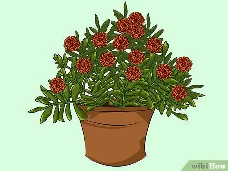 Купить цветы на поминки. Шаг 4