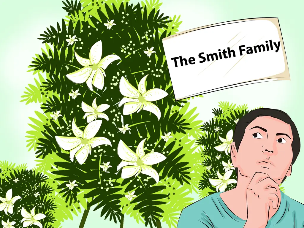 Как купить цветы на похороны: 12 шагов