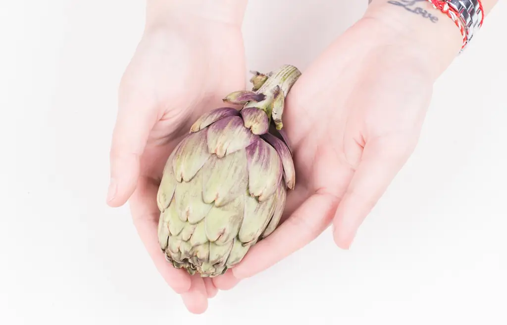 Как сварить артишоки: 12 шагов (с иллюстрациями)