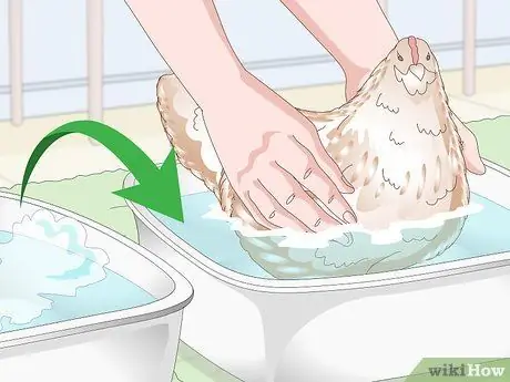 Купание курицы Шаг 10