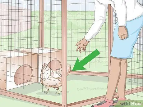 Купание курицы Шаг 13