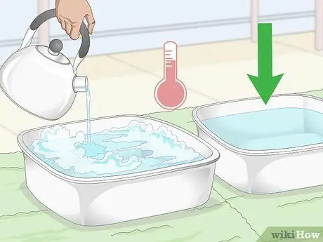 Купание курицы Шаг 5