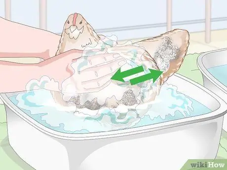 Купание курицы Шаг 8