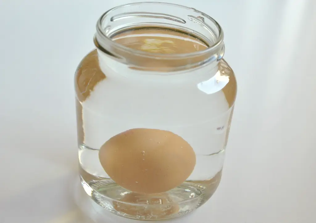 3 способа хранения яиц