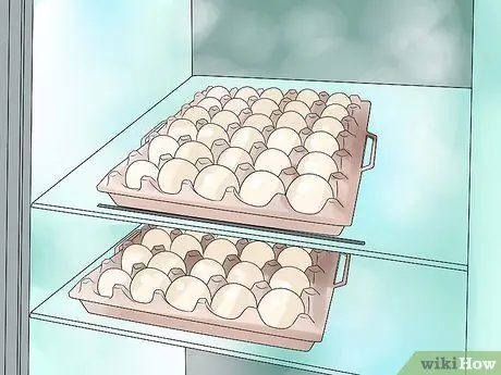 Вылупить яйцо утки кряквы Шаг 5