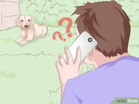 Получение образца мочи от суки Шаг 11