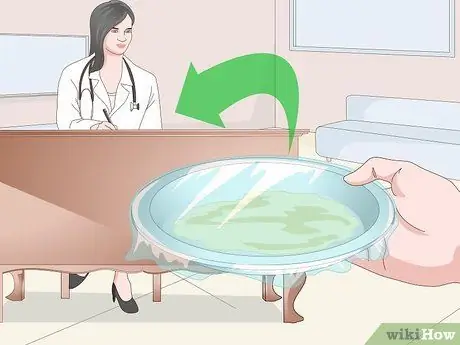 Получение образца мочи от суки Шаг 7