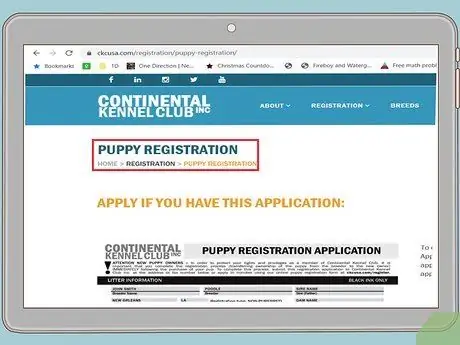 Зарегистрируйте собаку в CKC Шаг 1