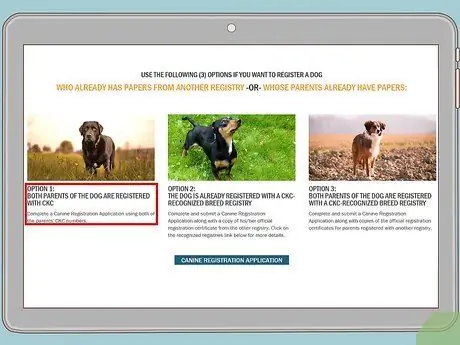 Зарегистрируйте собаку в CKC Step 6