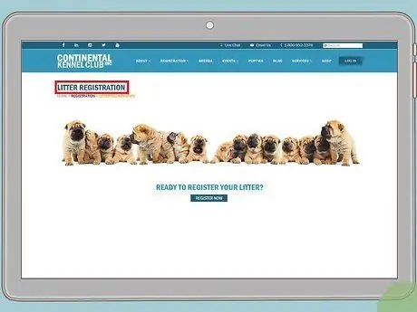 Зарегистрируйте собаку в CKC Step 8