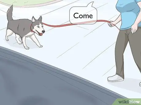 Не подпускайте собак к укрытию для бассейна Шаг 3