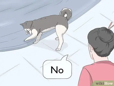 Не подпускайте собак к укрытию для бассейна Шаг 4