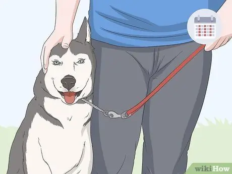 Не подпускайте собак к укрытию для бассейна Шаг 6