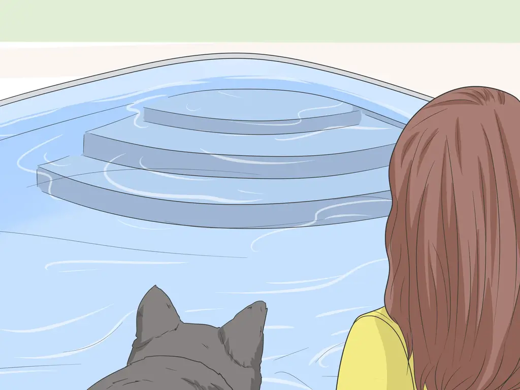 Простые способы уберечь собак от укрытия для бассейна: 13 шагов