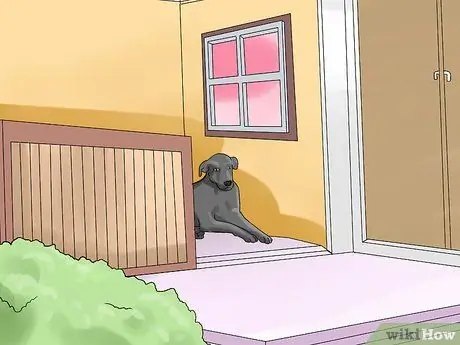 Держите вашу собаку комфортно на открытом воздухе Шаг 1