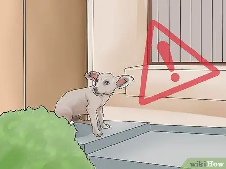 Держите вашу собаку комфортно на открытом воздухе Шаг 10