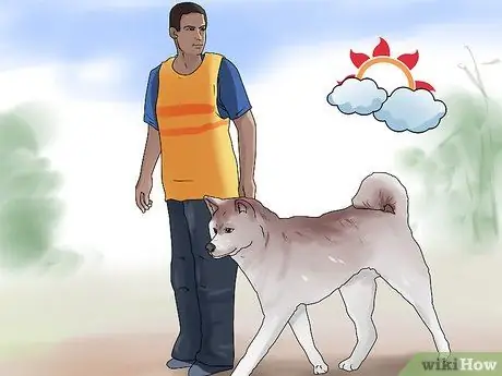 Держите вашу собаку комфортно на открытом воздухе Шаг 11