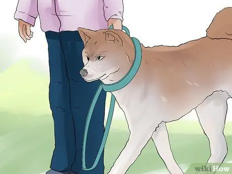 Держите вашу собаку комфортно на открытом воздухе Шаг 12