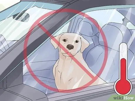 Держите вашу собаку комфортно на открытом воздухе Шаг 13