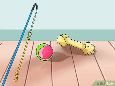 Держите вашу собаку комфортно на открытом воздухе Шаг 4