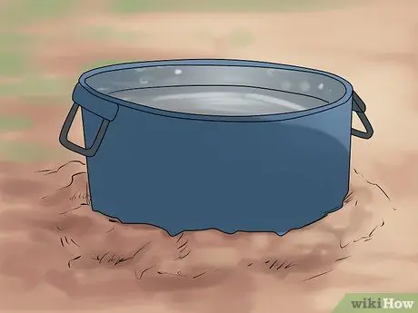 Держите вашу собаку комфортно на открытом воздухе Шаг 6