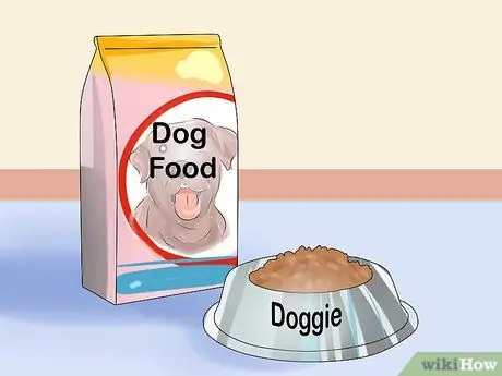 Держите вашу собаку комфортно на открытом воздухе Шаг 7