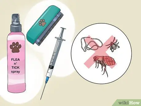 Держите вашу собаку комфортно на открытом воздухе Шаг 8