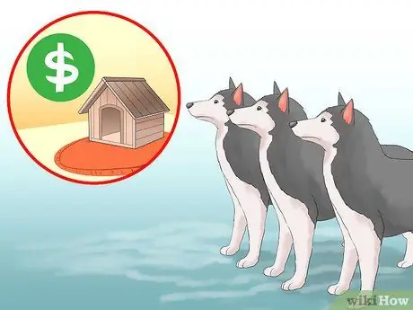 Приступайте к работе с собакой, шаг 12