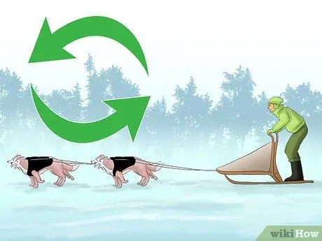 Приступайте к работе с собакой, шаг 16