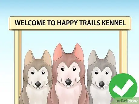 Приступайте к работе с собакой, шаг 3