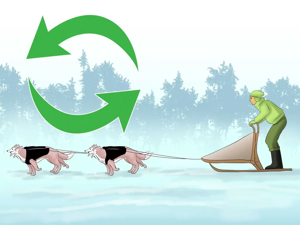 4 способа начать клевать собакой