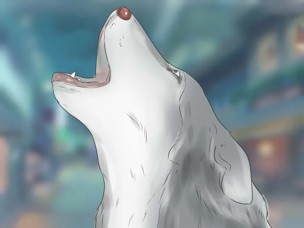 Как дрессировать щенка новосибирского хаски и ухаживать за ним: 15 шагов