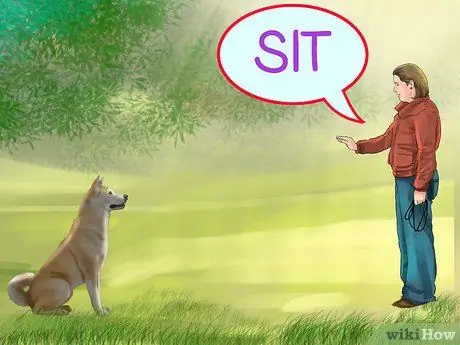 Воспитать верную собаку Шаг 12