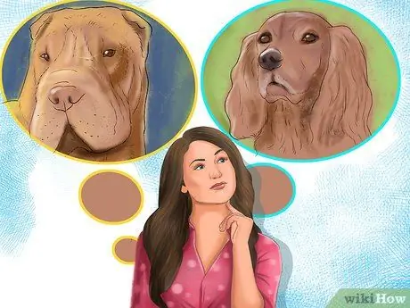 Воспитать верную собаку Шаг 3